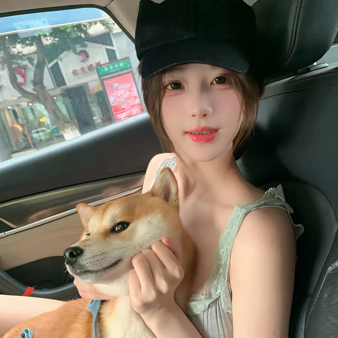 赘婿动画版